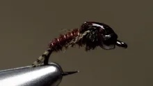 Video thumb for DPD Nymph