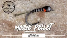 Video thumb for Moose Pellet Perdigon